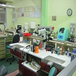 servizi laboratorio odontotecnico